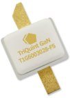 Part number T1G6003028-FS Product Type RF Power Transistor from Manufacturer Qorvo 